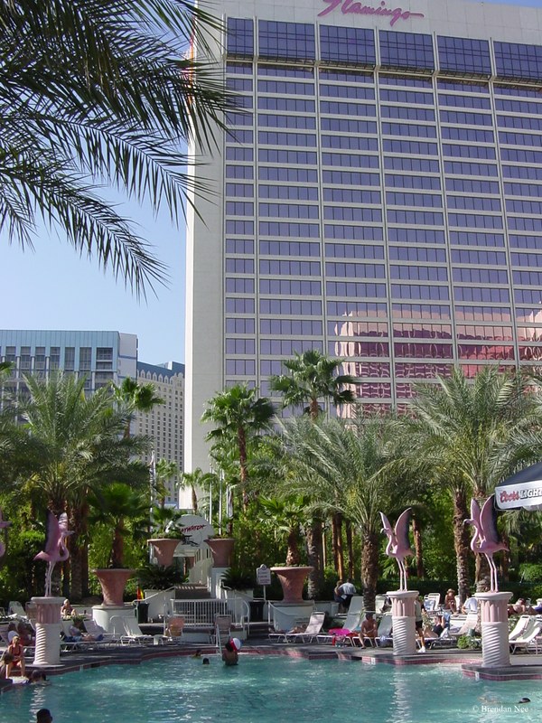 Flamingo - Las Vegas 8-02 009